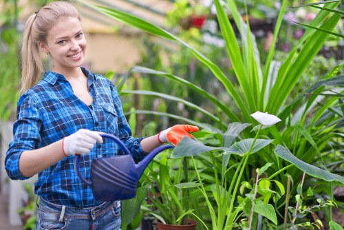 Gardener in Brixton working in a terrace garden