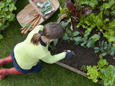 Community gardening workshop hosted by Gardener Brixton