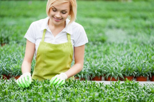 Professional gardener from Gardener Brixton tending plants